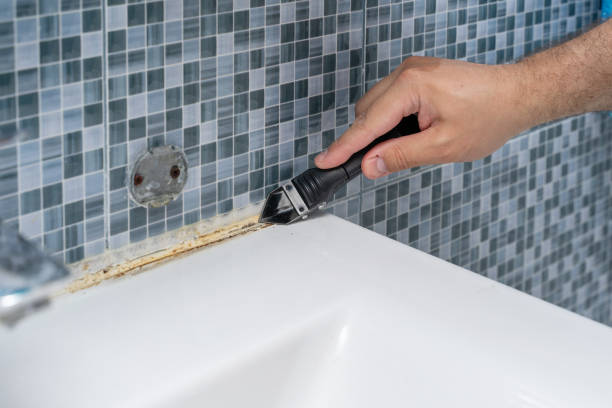 Best Residential Mold Removal  in Greenville, KY