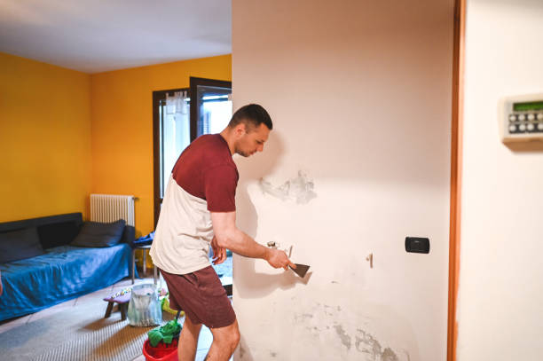 Best Mold Remediation Experts  in Greenville, KY